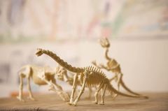 JUEGO KIDZLABS KIT CONSTRUIR BRACHIOSAURUS Y303237 (4M)