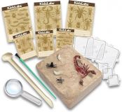 JUEGO KIDZLABS EXCAVACION DE INSECTOS Y303397 (4M)
