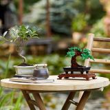 BONSAI 10281 (LEGO)