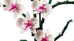 ORQUÍDEAS 10311 (LEGO)