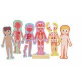 PUZZLE MAGNÉTICO DEL CUERPO HUMANO E1652 (HAPE)