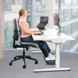 FELLOWES COJIN LUMBAR BREYTA  100119853