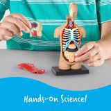 JUEGO CUERPO HUMANO ANATÓMICO LER3336 (LEARNING RESOURCES)