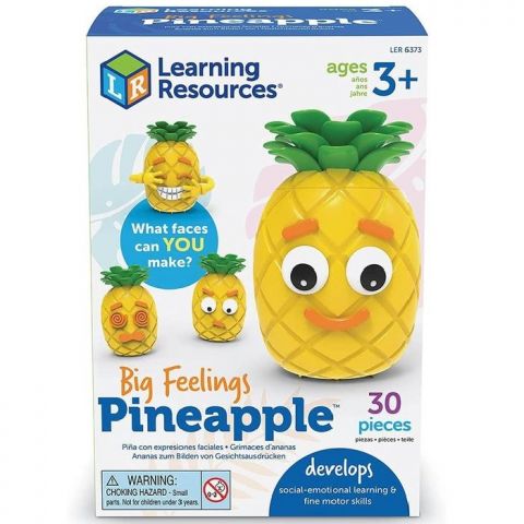 JUEGO LA PIÑA DE LOS SENTIMIEN(LEARNING RESOURCES)