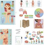 JUEGO APRENDO EN POSITIVO EL CUERPO HUMANO 41210 (DISET)