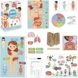 JUEGO APRENDO EN POSITIVO EL CUERPO HUMANO 41210 (DISET)