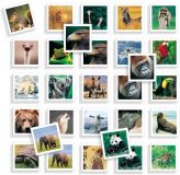 JUEGO YO APRENDO MEMO PHOTO ANIMALS 68941 (DISET)
