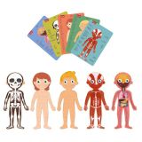 PUZZLE EDUCATIVO CUERPO HUMANO 19438 (APLI KIDS)