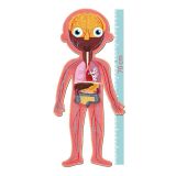 PUZZLE EDUCATIVO CUERPO HUMANO 19438 (APLI KIDS)