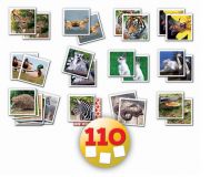 JUEGO IDENTIC NATURA 14783 (EDUCA)