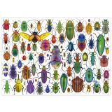 PUZZLE 500 PIEZAS ESCARABAJOS 20252 (EDUCA)