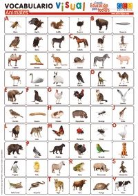 VOCABULARIO VISUAL. ANIMALES