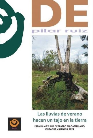 LAS LLUVIAS DE VERANO HACEN UN TAJO EN LA TIERRA (ÑAQUE)