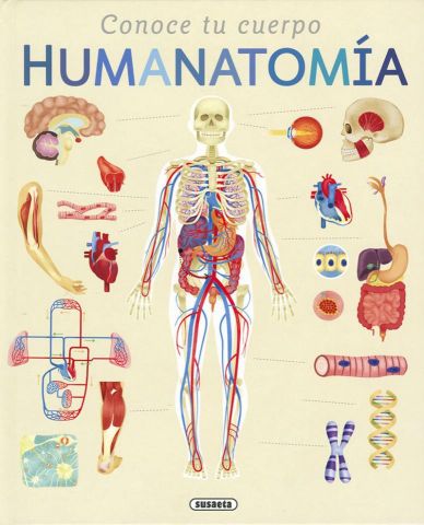 HUMANATOMÍA (SUSAETA)