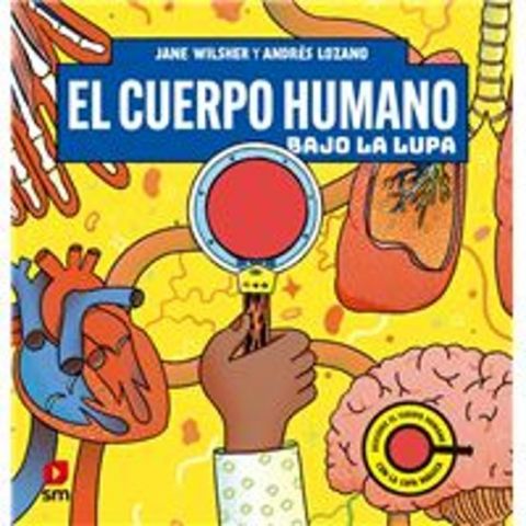 EL CUERPO HUMANO BAJO LA LUPA (SM)