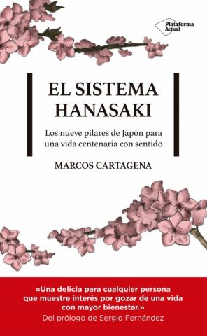 EL SISTEMA HANASAKI (PLATAFORMA)