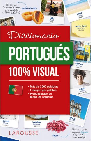 DICCIONARIO PORTUGUÉS 100% VISUAL (LAROUSSE)