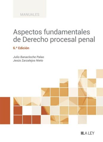 ASPECTOS FUNDAMENTALES DE DERECHO PROCESAL PENAL 6º EDICIÓN 23