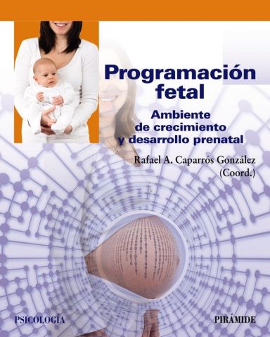 PROGRAMACIÓN FETAL (PIRÁMIDE)