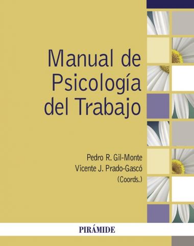 MANUAL DE PSICOLOGÍA DEL TRABAJO (PIRÁMIDE)