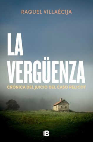 LA VERGÜENZA (EDICIONES B)