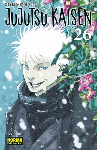 JUTUTSU KAISEN 26 (NORMA)