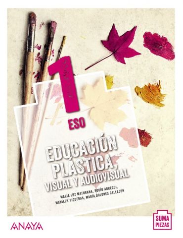 (ANAYA) EDUCACION PLASTICA VISUAL 1ºESO AND.20