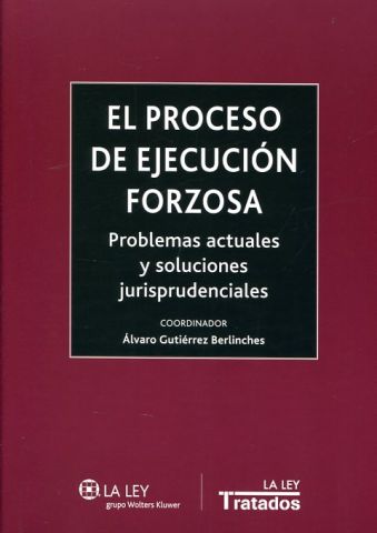 EL PROCESO DE EJECUCIÓN FORZOSA. PROBLEMAS Y SOLUC