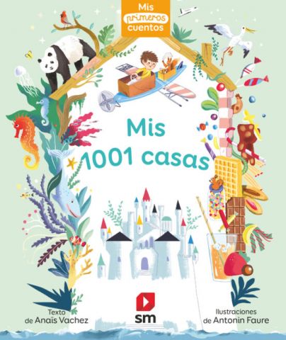 MIS 1001 CASAS (SM)