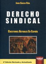 DERECHO SINDICAL. CUESTIONES ACTUALES EN ESPAÑA (2