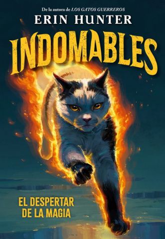 INDOMABLES 1. EL DESPERTAR DE LA MAGIA (DUOMO)