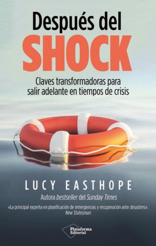 DESPUÉS DEL SHOCK (PLATAFORMA)
