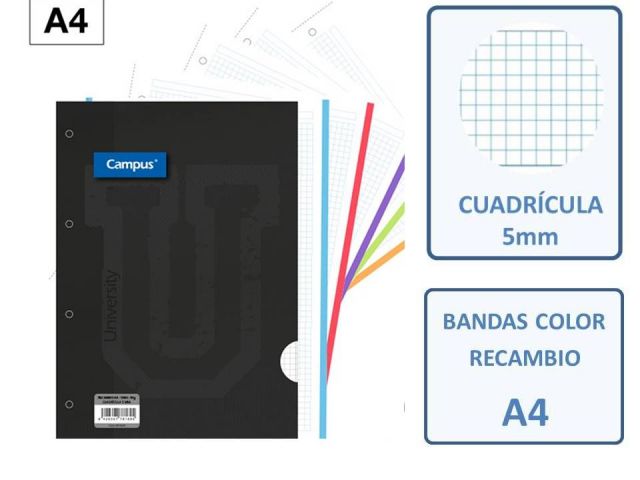 RECAMBIO A4 4T 100H. 90GR.CUADRO 5X5 BAN.COL CAMPU