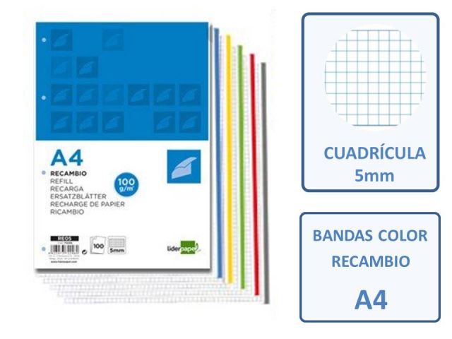 RECAMBIO A4 4T 100H.100GR.CUADRO 5X5 BAN.COL RE05