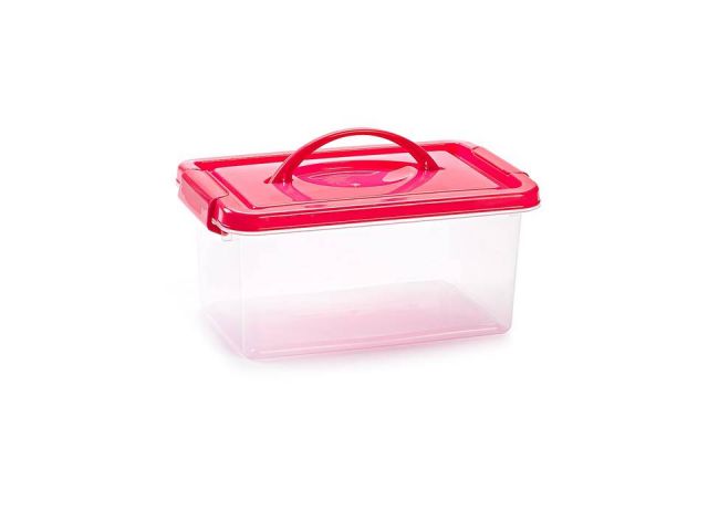 CAJA DE ORDENACIÓN MINBOX 4L 29x18,x13cm  11338 pf